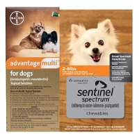 Advantage Multi (Advocate) & Sentinel Spectrum Chews  Combo