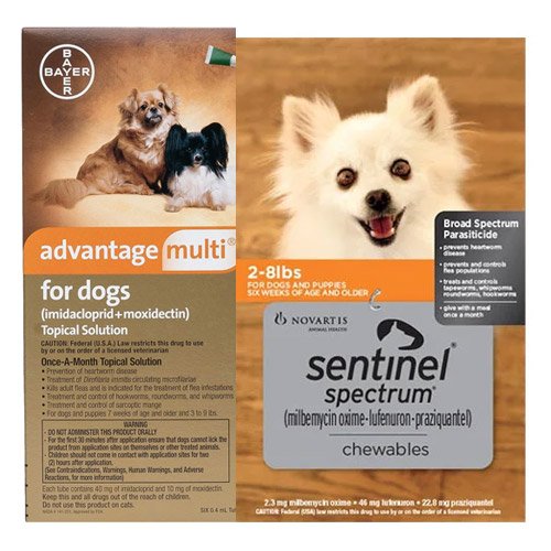 Advantage Multi (Advocate) & Sentinel Spectrum Chews  Combo