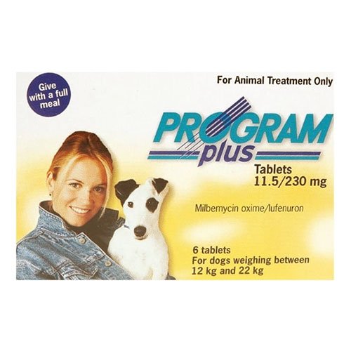 Program Plus for Dogs 21 - 45 lbs (Yellow)