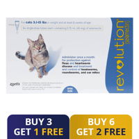 Revolution for Cats 5 -15lbs (Blue)