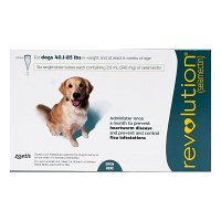 Revolution for Large Dogs 40.1-85lbs (Green)